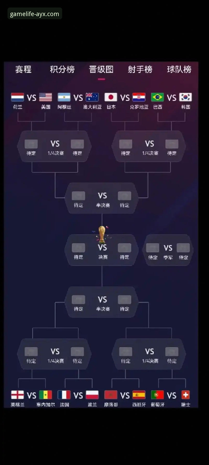 阿根廷新星伤退世界杯：在爱游戏平台深度解析战术影响与未来展望指南